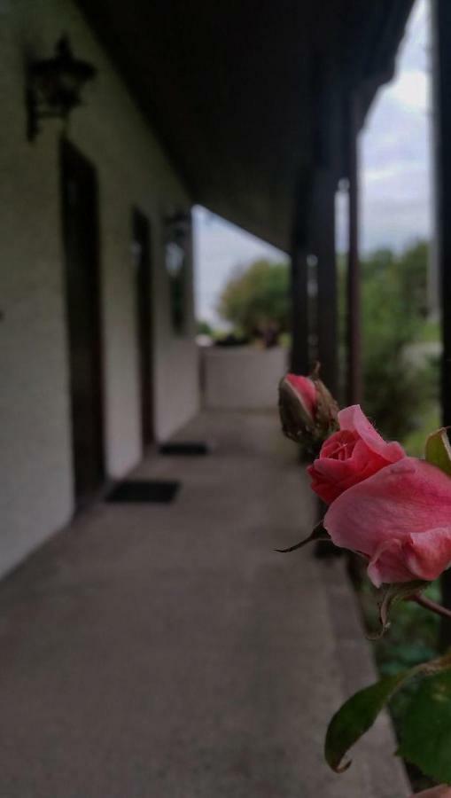 Miltons Country Lodge Lower Langford エクステリア 写真